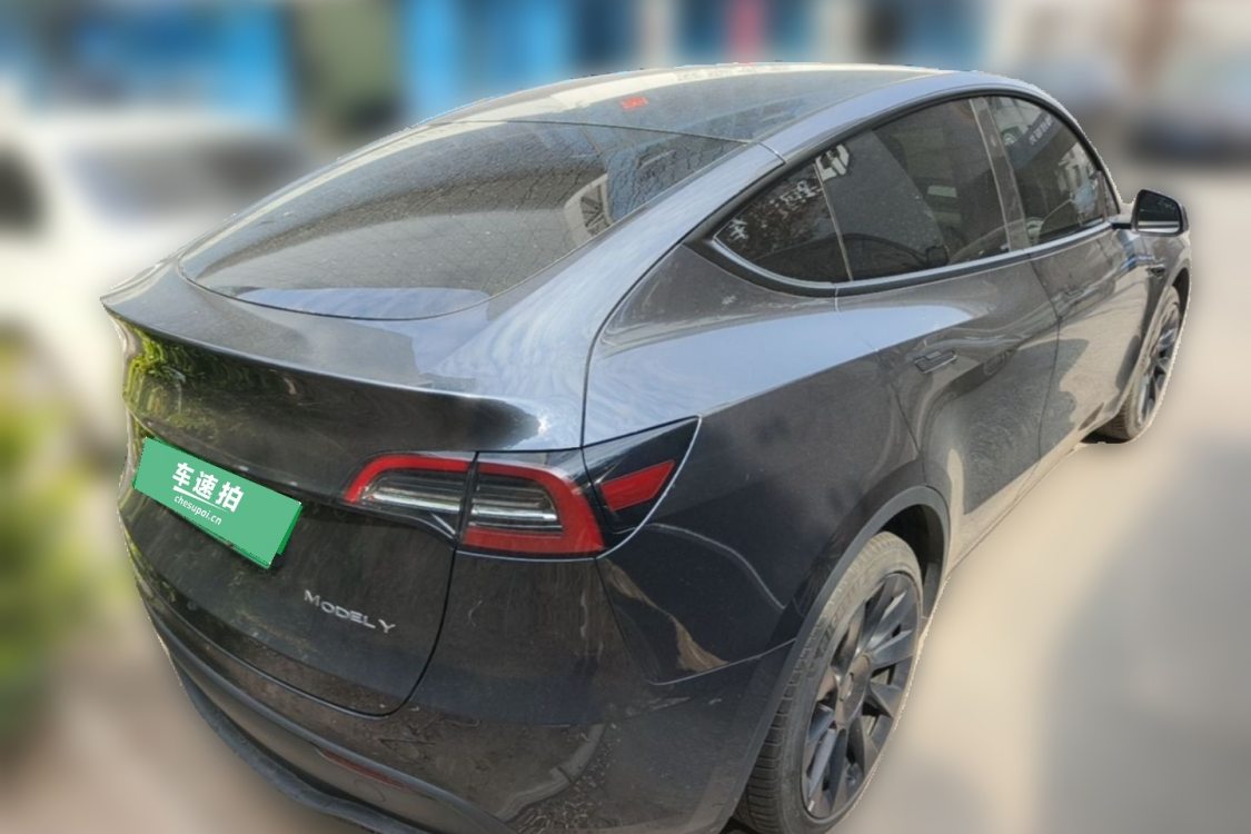 Tesla Model Y 2024 car image #4