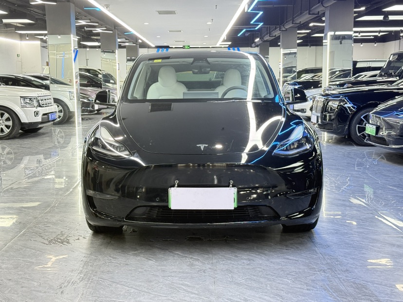 Tesla Model Y 2021 Tesla Model Y 2021 car image