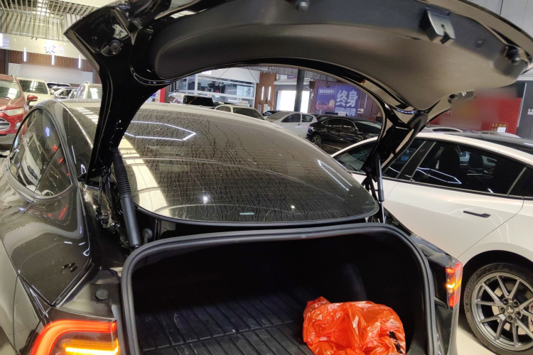 Tesla Model 3 2022 #19 Tesla Model 3 2022 car image #19