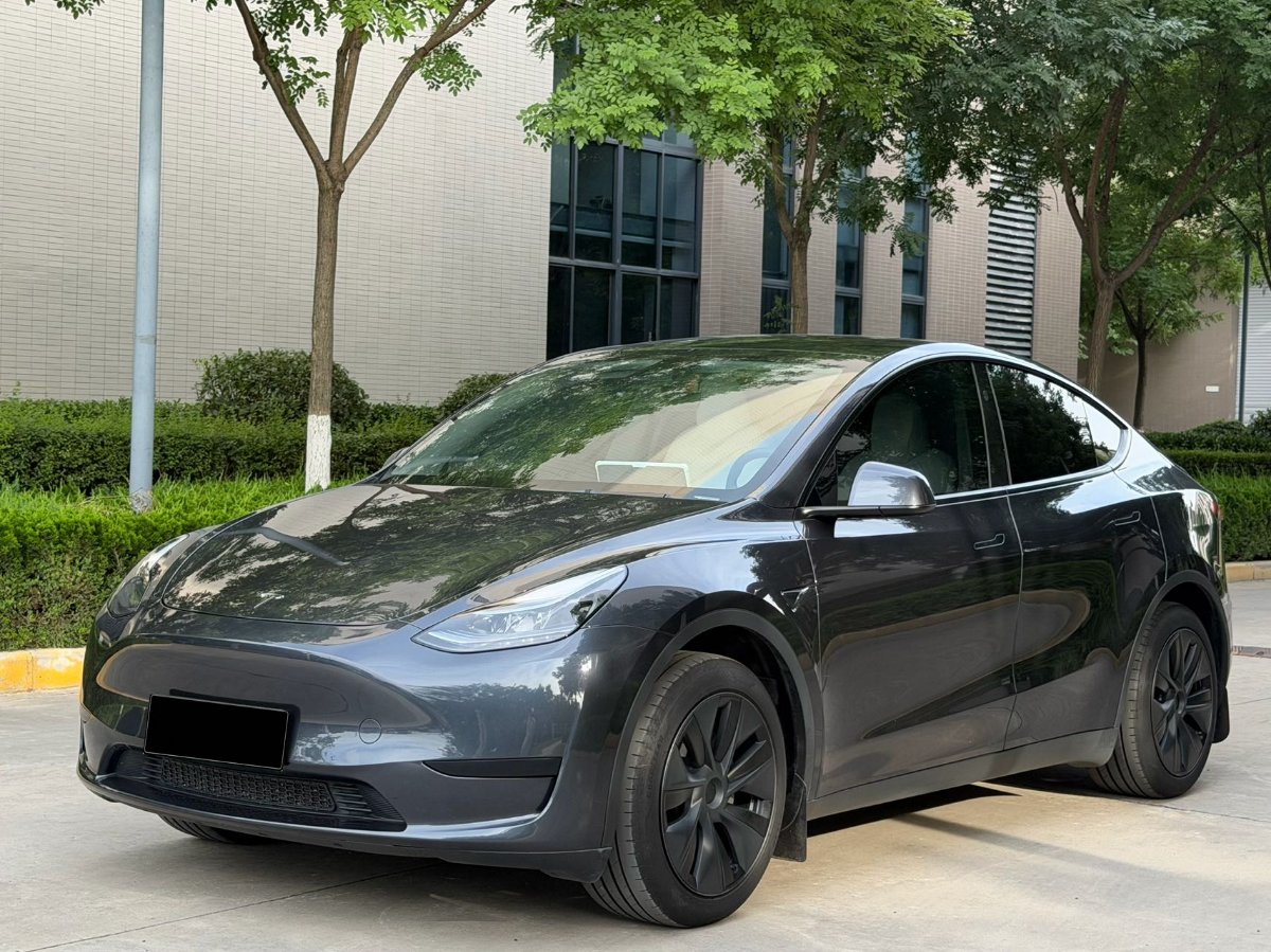 Tesla Model Y 2024 car image 