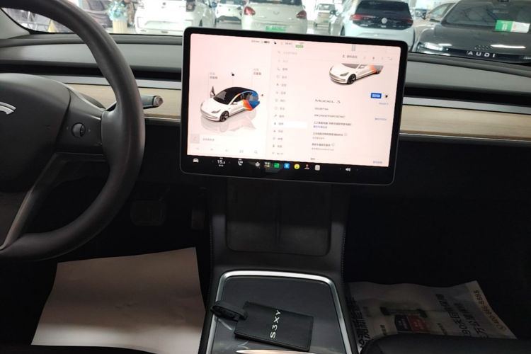 Tesla Model 3 2023 car image #13