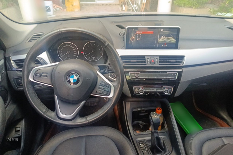 BMW X1 2017 car image #11