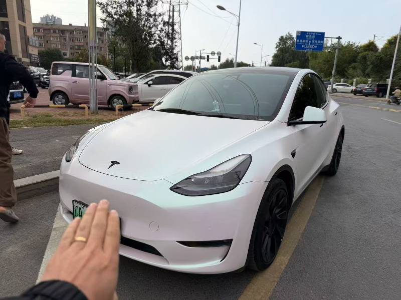 Tesla Model Y 2021 Tesla Model Y 2021 car image