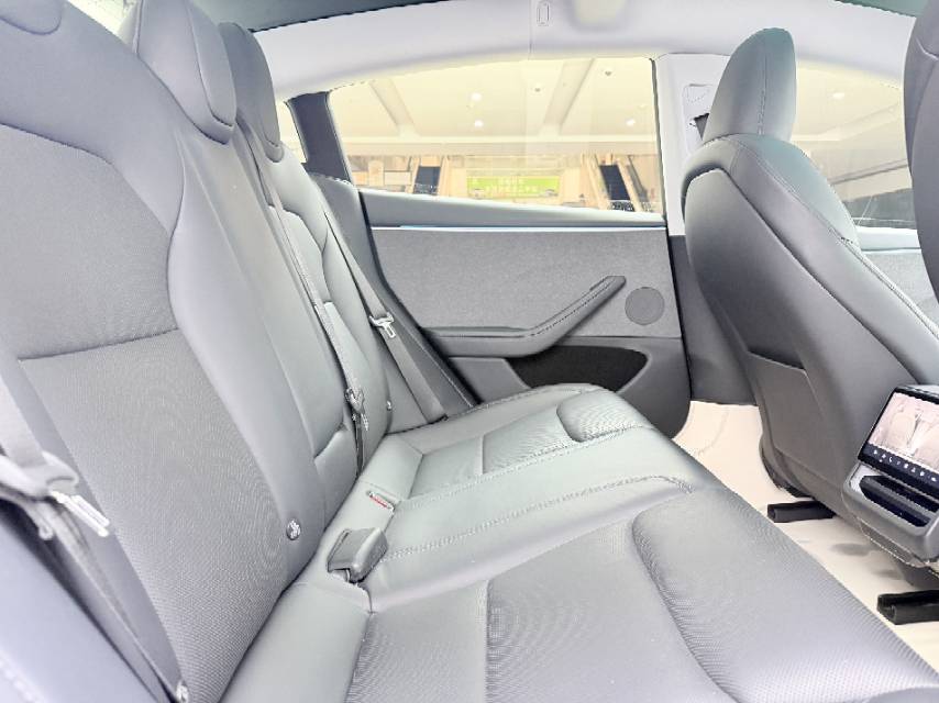 Tesla Model 3 2023 #6 Tesla Model 3 2023 car image #6