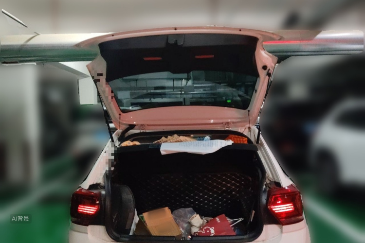 Volkswagen Polo 2019 car image #21