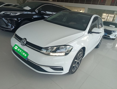 Volkswagen Golf 2020 car image 