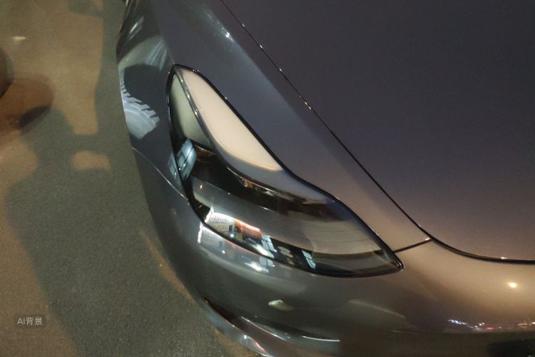 Tesla Model 3 2021 car image #8