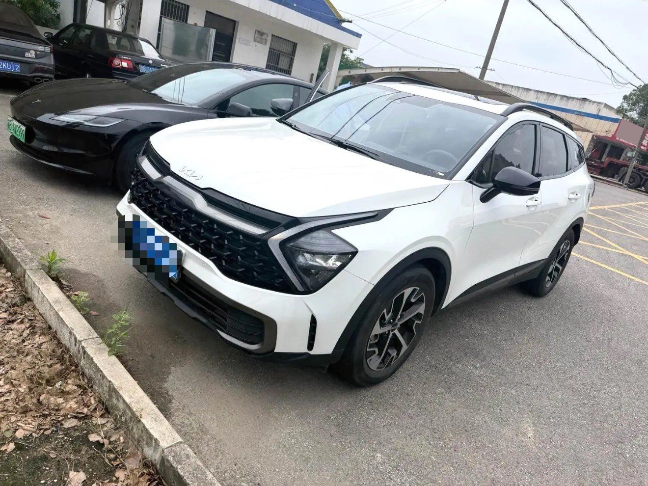 Kia Sportage 2024 car image 