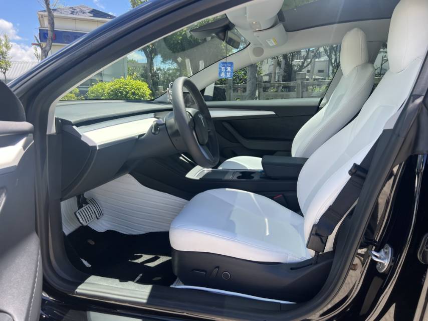 Tesla Model 3 2023 car image #11