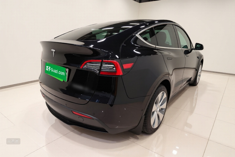 Tesla Model Y 2021 car image #7