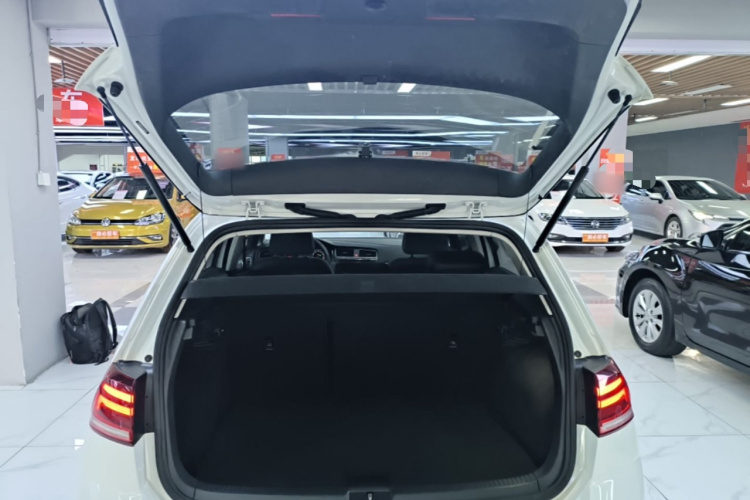 Volkswagen Golf 2020 car image #19