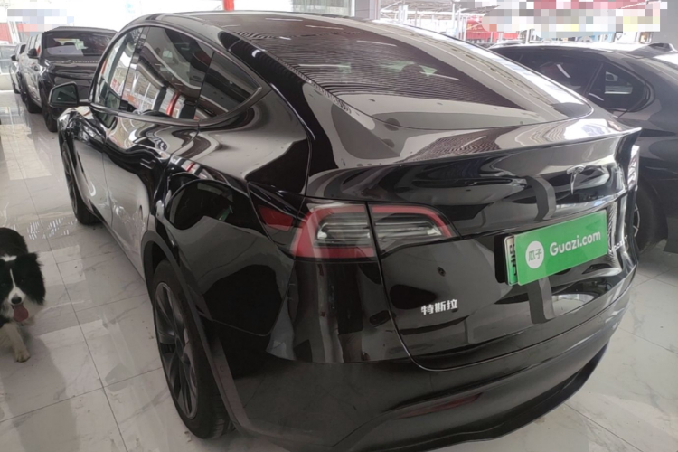 Tesla Model Y 2024 #5 Tesla Model Y 2024 car image #5