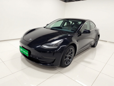 Tesla Model 3 2021 car image 