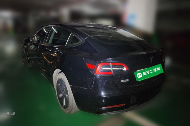 Tesla Model 3 2021 #5 Tesla Model 3 2021 car image #5