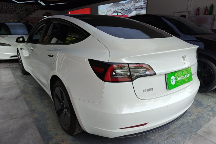 Tesla Model 3 2021 immagine di auto #5
