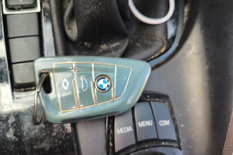 BMW X1 2019 car image #10