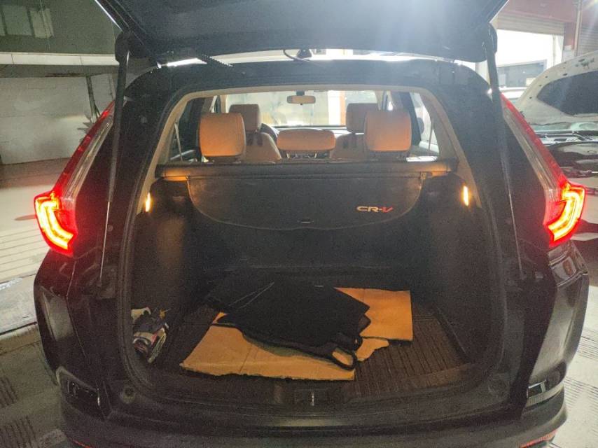2019 #3 2019 car image #3