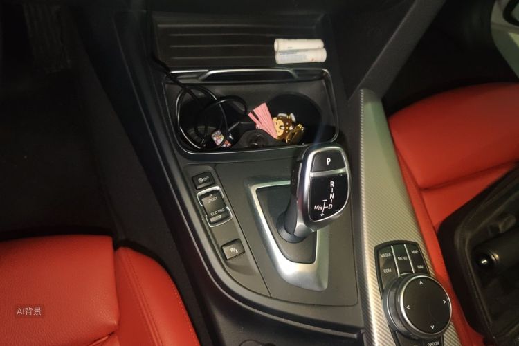 BMW 3 Series 2019 car image #16