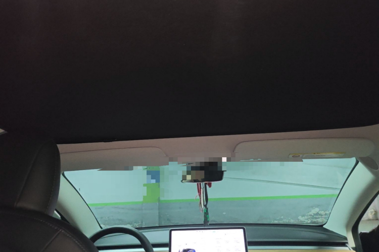 Tesla Model 3 2020 car image #18