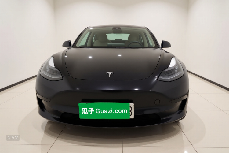 Tesla Model 3 2023 car image #3