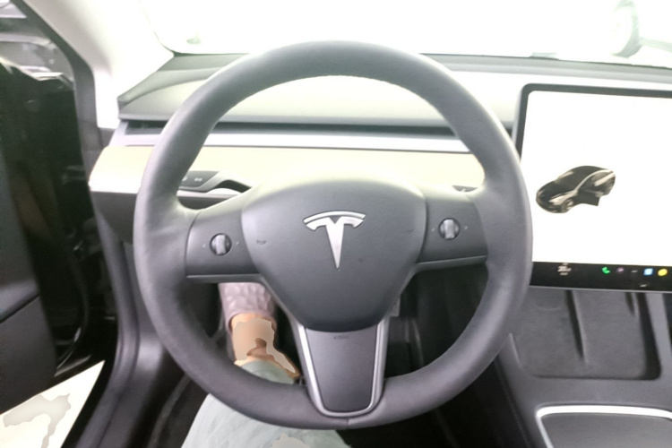 Tesla Model 3 2021 #11 Tesla Model 3 2021 car image #11