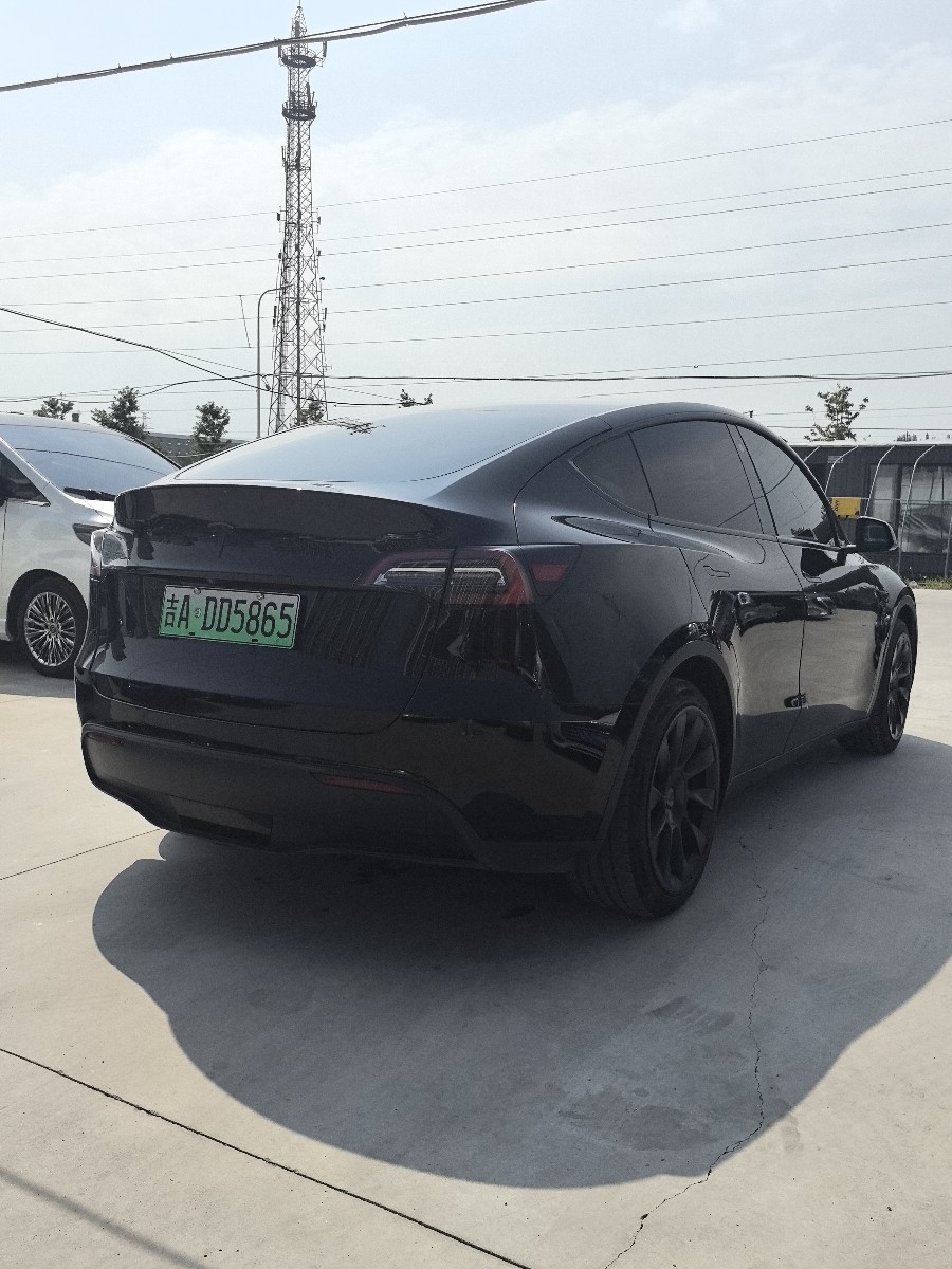 Tesla Model Y 2021 car image #7