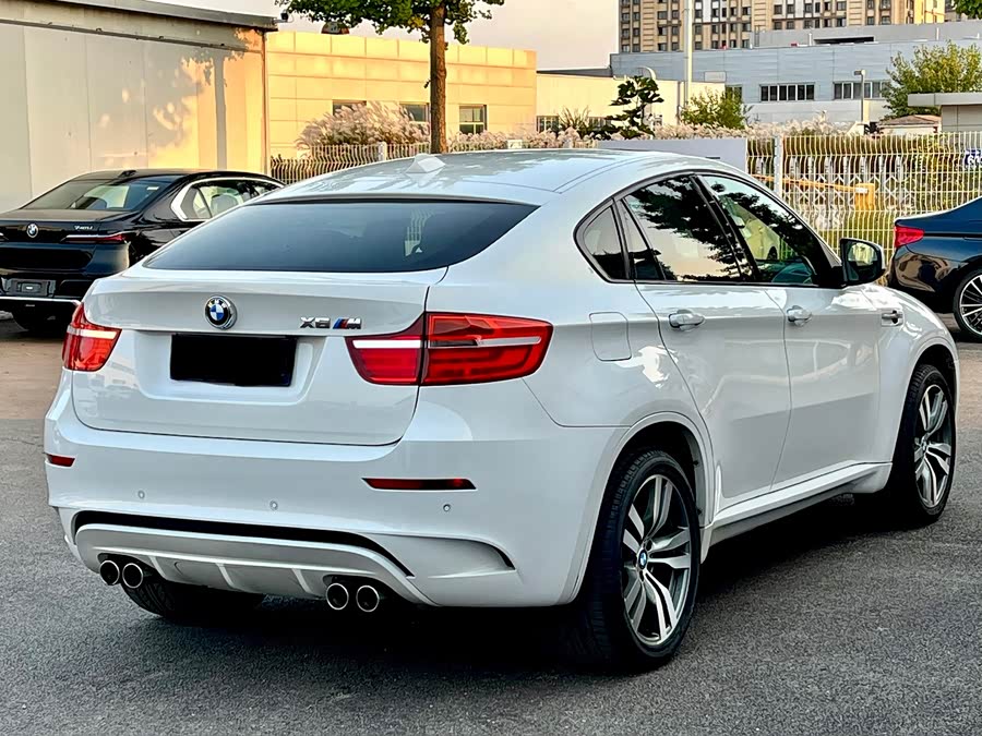 BMW X6 M 2012 car image #9