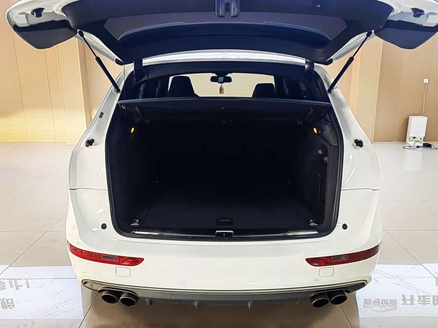 Audi SQ5 2013 imagen de coche #9