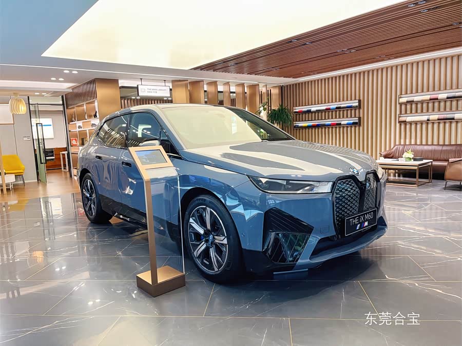 BMW iX M60 imagem de carro #9