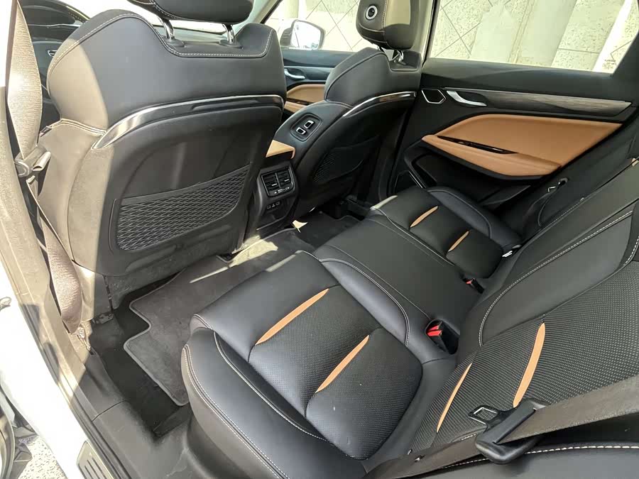 GEELY Tugella New Energy 2019 car image #9