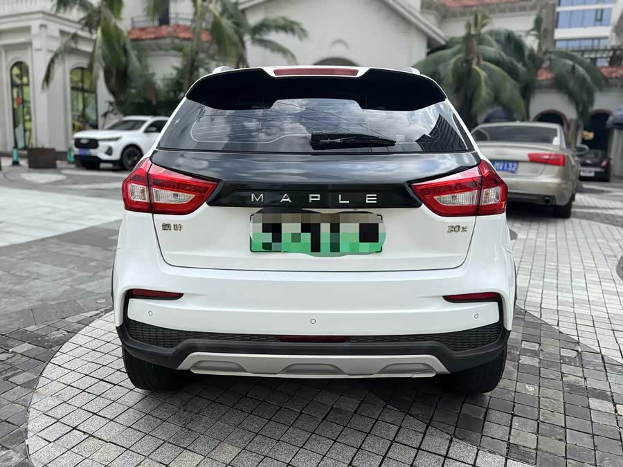 睿蓝汽车 枫叶30X 2020 汽车图片 #9