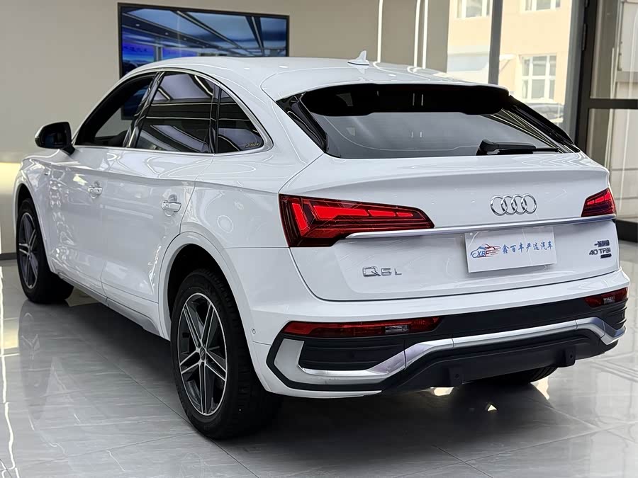 Audi Q5L Sportback 2023 car image #9