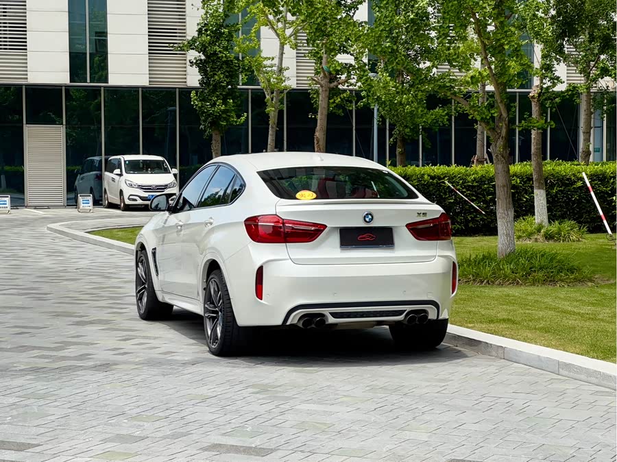 BMW X6 M 2017 car image #9