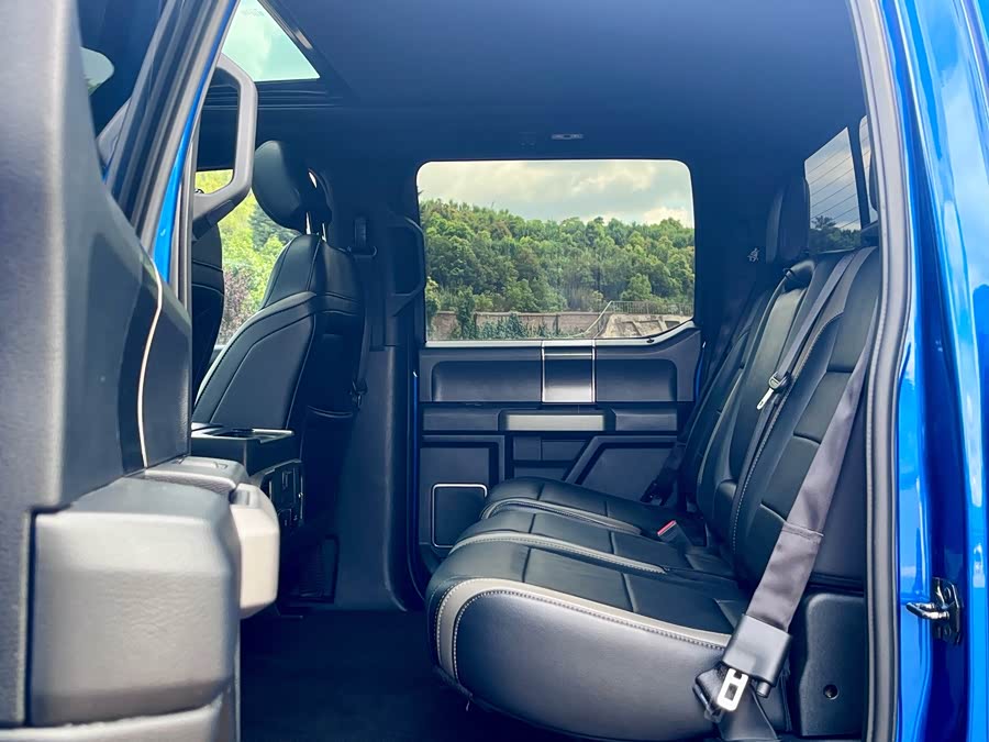 Ford F-150 Raptor 2018 car image #9