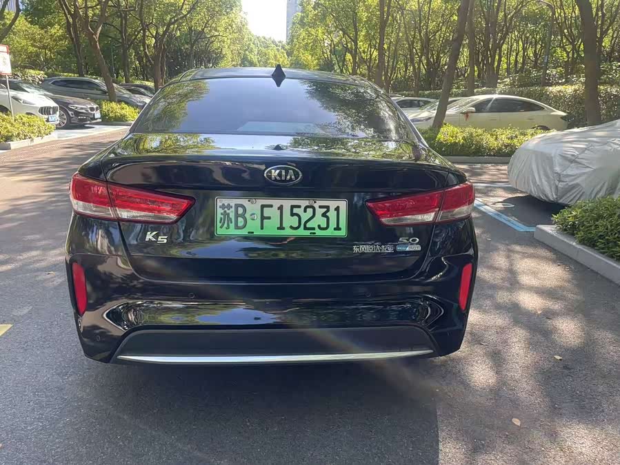 起亚 起亚K5新能源 2018 汽车图片 #9