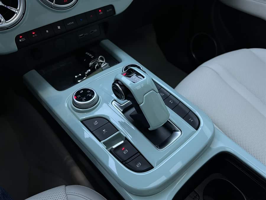 Tank 300 New Energy 2024 #9 Tank 300 New Energy 2024 car image #9