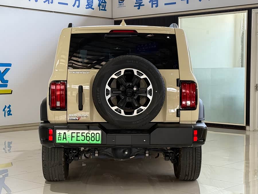 Tank 300 New Energy 2025 #9 Tank 300 New Energy 2025 car image #9