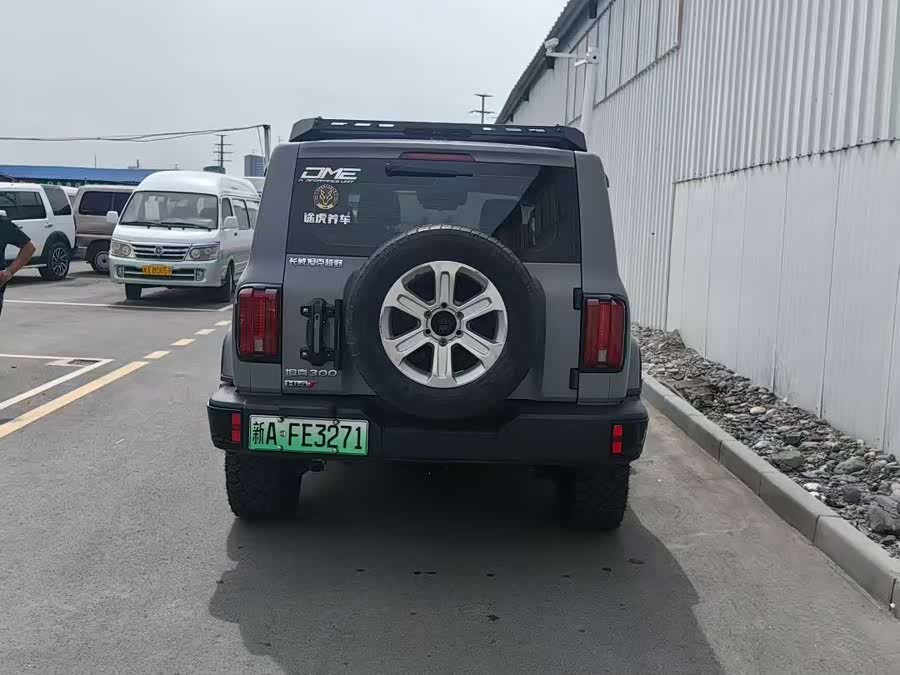 Tank 300 New Energy 2024 car image #9