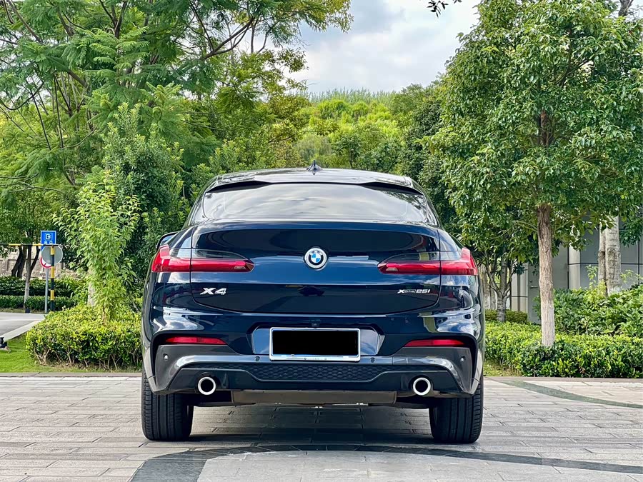 BMW X4 2020 car image #9