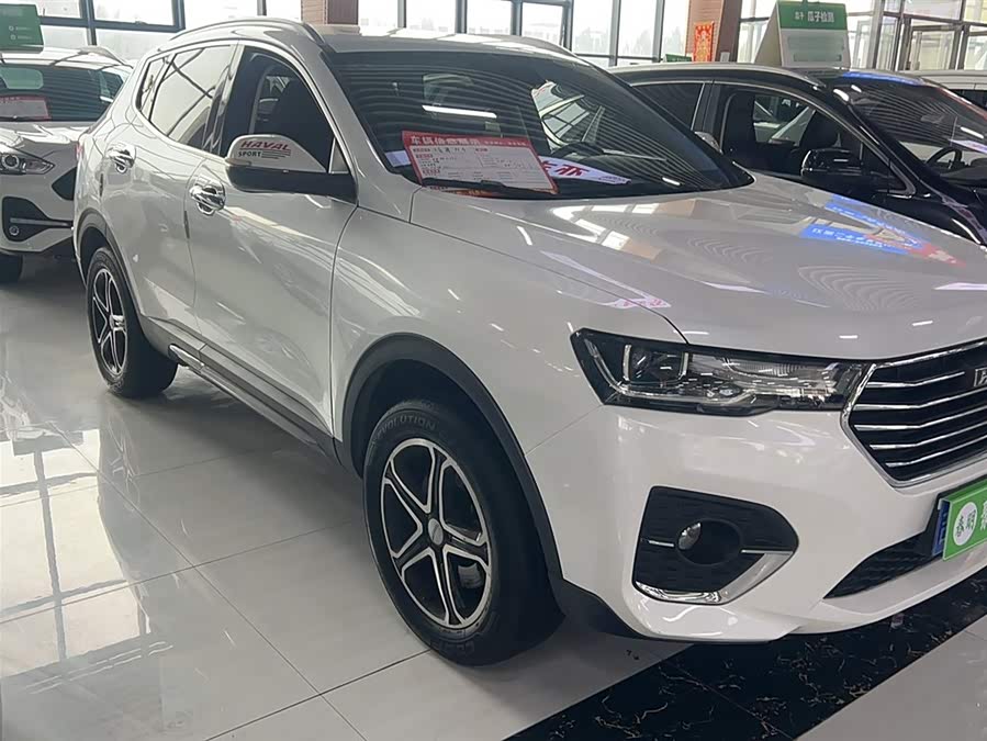 Haval H4 2020 immagine di auto #9