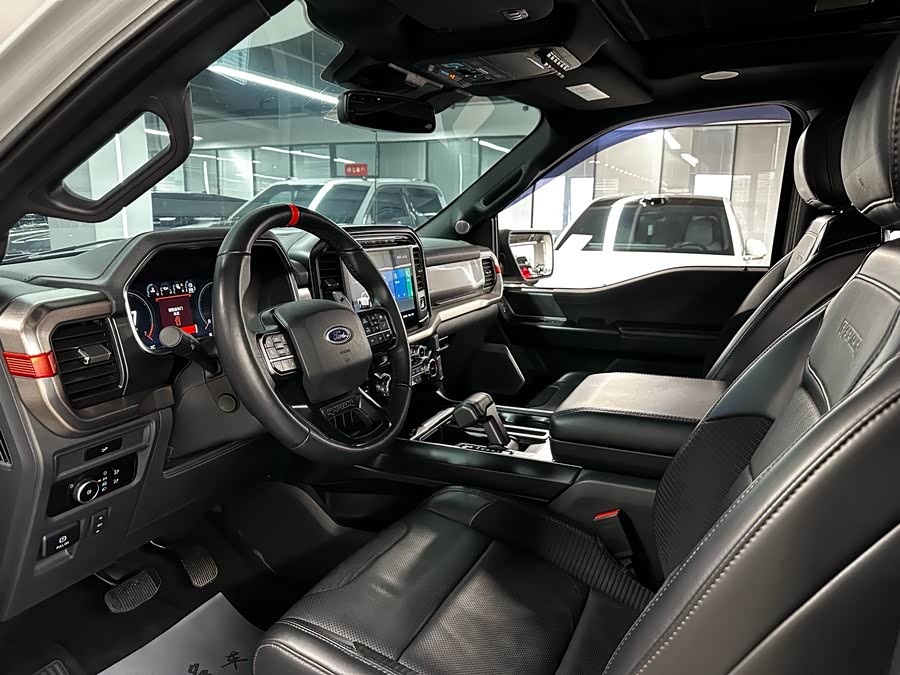 Ford F-150 Raptor 2024 car image #9