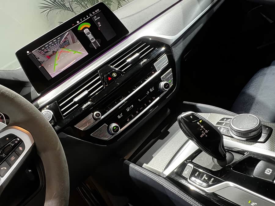 BMW 5 Series (Imported) 2019 #9 BMW 5 Series (Imported) 2019 car image #9