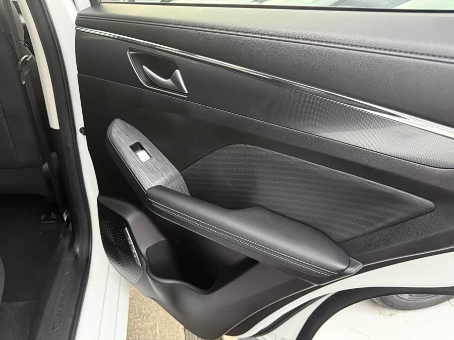 Haval Jolion 2020 car image #9