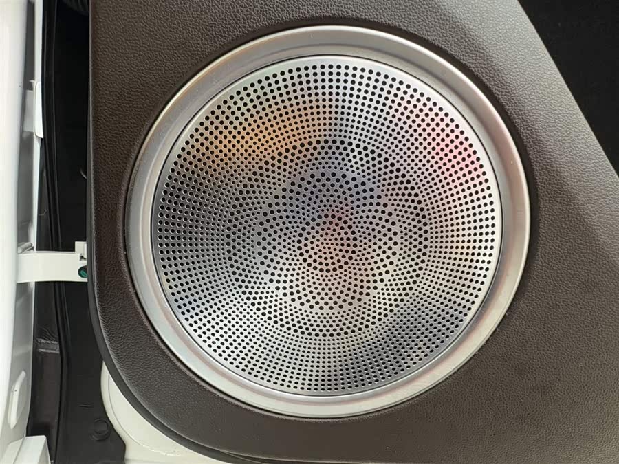 Tank 500 New Energy 2024 immagine di auto #9