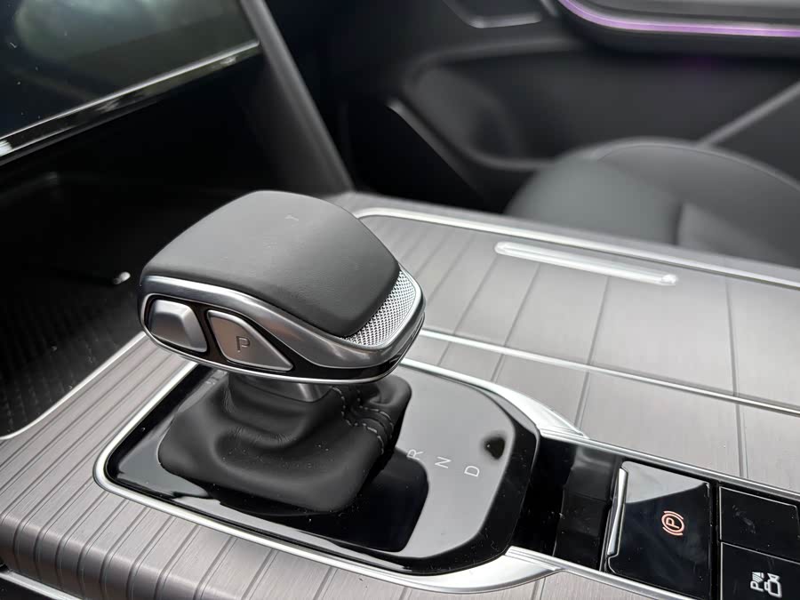 HongQi HS7 PHEV 2025 car image #9