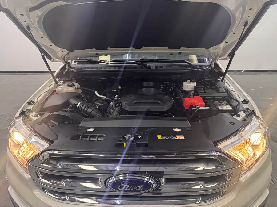 Ford Everest 2019 car image #9