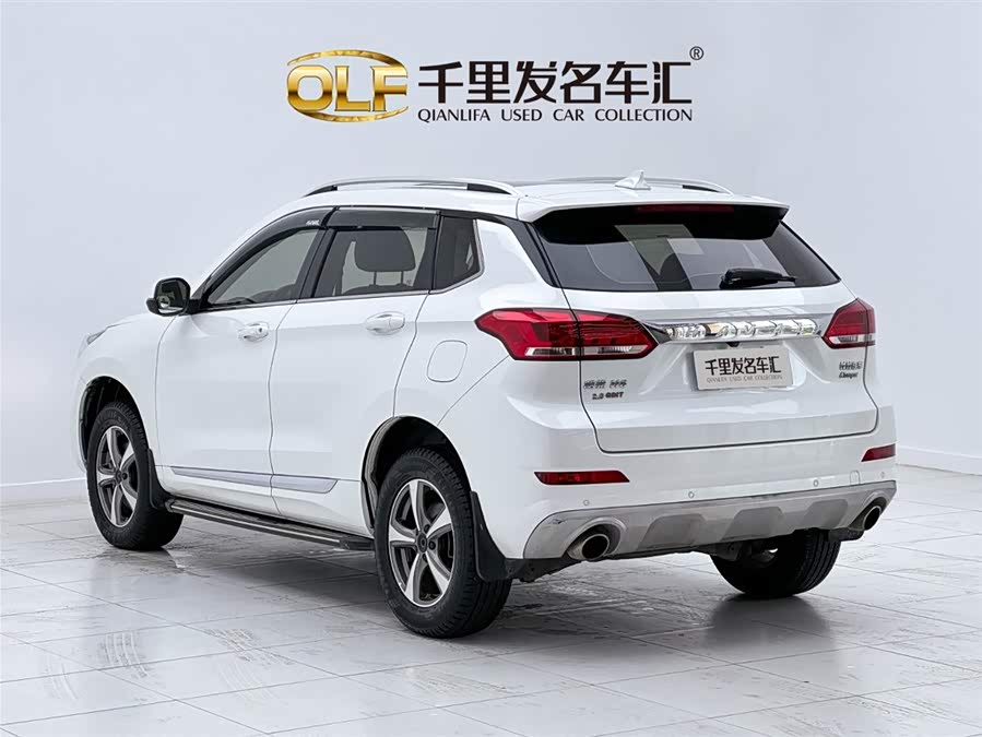 Haval H6 Coupe 2019 car image #9