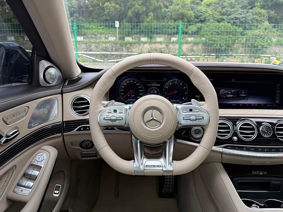 Mercedes-Benz S AMG 2019 car image #9