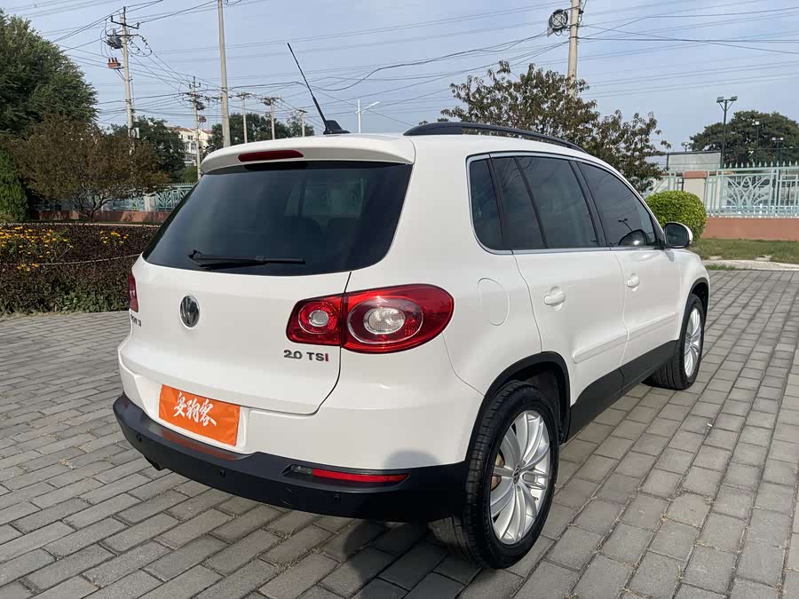 大众 Tiguan 2009 #9 大众 Tiguan 2009 汽车图片 #9