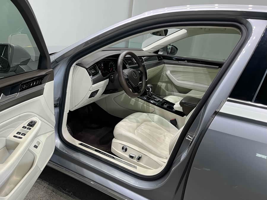 Volkswagen Phideon 2021 car image #9